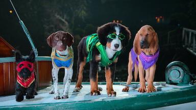 Super PupZ 1x7