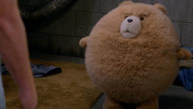 ted 2x7