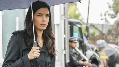 S.W.A.T.: Los hombres de Harrelson 1x20