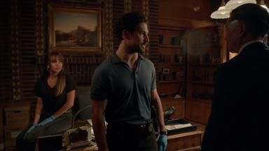 Wild Cards 1x9