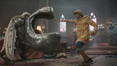 ONE PIECE 2x8