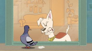 Krypto resuelve la situación 1x1