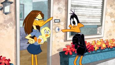 El show de los Looney Tunes 1x16