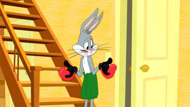 El show de los Looney Tunes 2x4