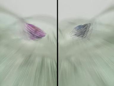 Beyblade 1x16