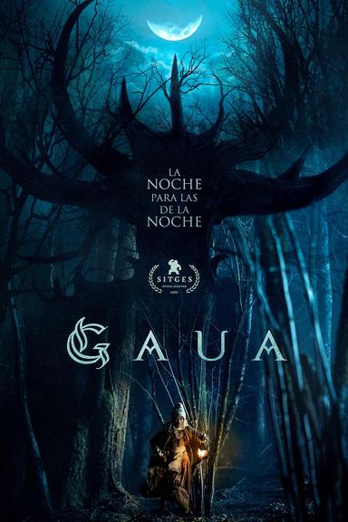 Gaua