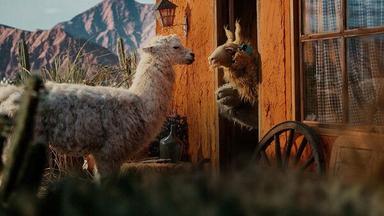 La Llama que Llama: La Serie 1x2