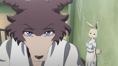Beastars 1x12