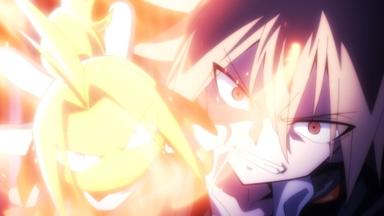 SHAMAN KING FLOWERS 1x1