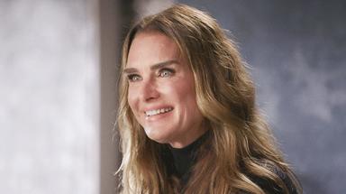 Brooke Shields: la mujer más bella 1x1