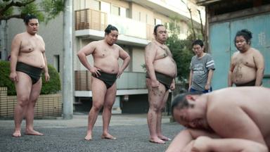 El aprendiz de sumo 1x5
