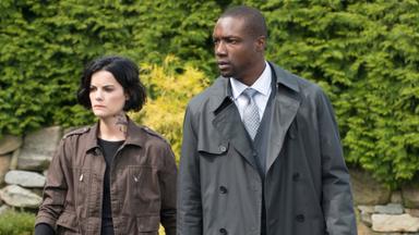 Blindspot 1x8