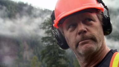 Big Timber 1x8