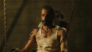 Gul 1x2