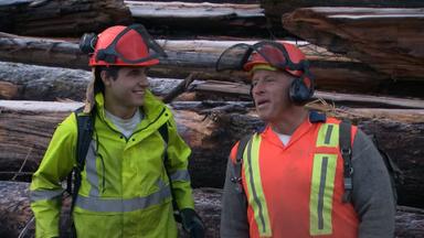 Big Timber 1x7