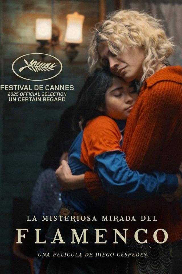 La misteriosa mirada del flamenco