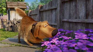 Dug y Carl 1x3
