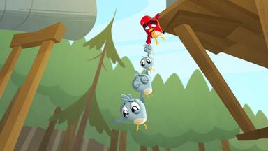 Angry Birds: Locuras de Verano 1x15